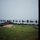 로얄렌트카 이미지