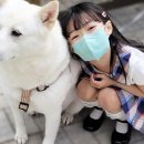 예솔유치원 네이버블로그