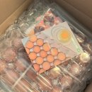 해뜰DC마트 | 유정란 무정란 차이 원주 계란 배달 달그락스토어 나린뜰 유정란 무료배송까지