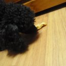 탕수육드세요 이미지