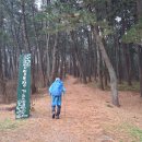 이일레3 Daum카페