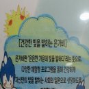 은가비 이미지