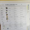 그립잉글리쉬
