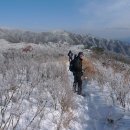 겨울 명산 1위인 덕유 이미지