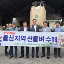 두북농협 미곡종합처리장 | [울산] 농협중앙회 울산본부, 2025년산 산물벼 수매 및 농심천심운동 연계 실시 / 25.10.10(금)