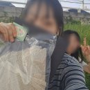델모니코스 | Log 16 :: 엄마 생신 구봉산 델모니코스 후기 / 공지천 디토 / 감자 아일랜드 후기