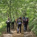 연화산 - 송파구 오금로46길 34 | 연화산