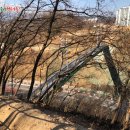 술바위교차로 이미지