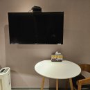 브라운 도트 이미지