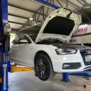 브이에이지(VAG) 이미지