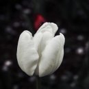 연지공원1 이미지