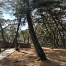 옛터막걸리 | 왕과 사는 영월, 강원도 영월 여행기 1 - (청령포 , 영월관광센터)