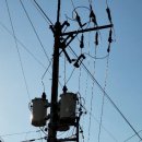 용단농장 이미지