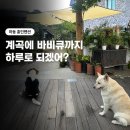 하동정숯불바베큐 | [하동 화개 홍인펜션] 계곡 물놀이와 야외 바비큐를 한 번에, 내돈내산 숙박 후기
