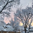 내장산한옥펜션 이미지