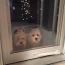 아차산로7길 이미지