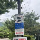 솔밭가든 | 대전 근교 운주 솔밭가든 평상 후기, 운주계곡 물놀이 수영장까지 아이와 다녀온 날