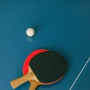 탁구 초급반 이미지