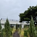 카페모먼트 - 고양시 일산동구 숲속마을2로 51-39 | 카페모먼트
