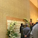 거제축산농협온새미로뷔페 | [예식장 후기] 거제 하나로 컨벤션 웨딩 그라테스홀 하객 솔직 후기 + 온새비로 뷔페