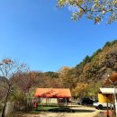 늘편한캠핑장 이미지