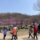 봄날애견 이미지