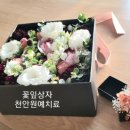 또또원예