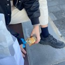 불로초등학교 체육관 | [겨울제주여행] JW메리어트제주 호텔 근처 가볼만한 곳/ 천지연폭포, 자구리공원담수욕장, 서복전시관...