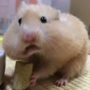 남원 지리산 수산 이미지