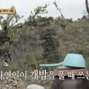 개밥그릇 이미지