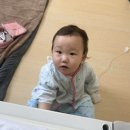 예사랑아동병원 이미지