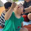 동강676 | 8월, 한여름을 꾸욱 눌러 담아