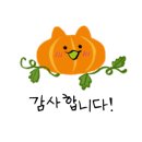 국수나무 구로항동점