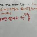 쪼꼬만애견용품