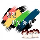 원진비닐루 이미지