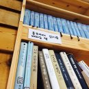 홍동