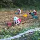 팔선농장 이미지