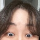 디데이브로우