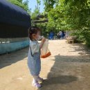 도촌농장 | 곤충도시 : 성남/분당/도촌동 아이와 갈만한 곳
