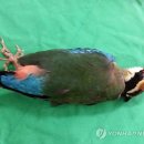 임수의과병원 이미지