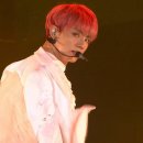 유포리아 이미지