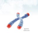 바이오랩 주식회사 네이버블로그