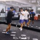 피노키오 복싱 이미지