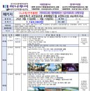 라이언여행사