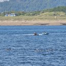 화순해안로 이미지