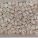 송이농장(2) 이미지