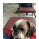 안녕, 뭉실 이미지