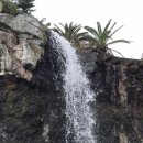 제13호 태풍 므르복 발생,이동경로 이미지