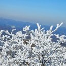 서론