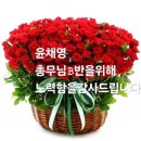 한국승강기대학교 | 한국승강기대학교 울릉도 독도탐방_파크골프전공 마산 B반 여행 후기